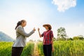 Asian business and farmers women holding thumbs up in barley agricultural farmland