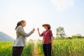 Asian business and farmers women holding thumbs up in barley agricultural farmland