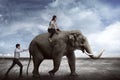 Asian business man push elephant Royalty Free Stock Photo