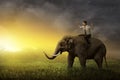 Asian business man riding elephant Royalty Free Stock Photo