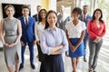 Asian businesswoman and her business team, group portrait