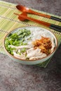 Asian chicken noodle soup with fried onions, green onions and cilantro close-up in a bowl. Vertical