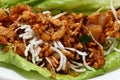 Asian Chicken Wrap