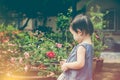 Asian child admiring for rose flowers and nature around at backyard. Vintage tone.