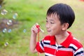 Asian child blowing soap bubbles in summer park, nature background Royalty Free Stock Photo