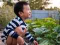 Asian child boy smiling with happy funny face while playing outdoor. Royalty Free Stock Photo