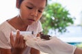 Child girl feeding water and food to baby sparrow bird with syringe Royalty Free Stock Photo