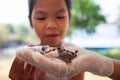 Child girl feeding water and food to baby sparrow bird with syringe Royalty Free Stock Photo