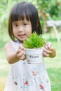 Asian child girl hands holding small pot with young plant Royalty Free Stock Photo