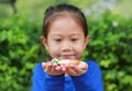 Asian child girl holding some thai sugar and fruit toffee with colorful paper wrapped in her hands. Focus at candy in her hands Royalty Free Stock Photo