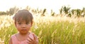 Asian child girl laughing and happy on meadow in summer in nature Royalty Free Stock Photo