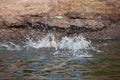 Asian child girl playing water and drowning in the in the river Royalty Free Stock Photo