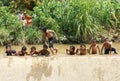 Asian children bath in the river Royalty Free Stock Photo