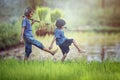 Asian children farmer on rice field Royalty Free Stock Photo