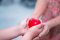 Asian children kid hold touch and give red heart strong health to old mother lady hands with love, happy, care. Royalty Free Stock Photo