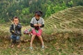 Asian children in mountains of China, among the rice terraces. Royalty Free Stock Photo