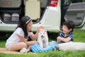 Asian children playing with siberian husky puppy Royalty Free Stock Photo