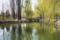 Asian China, Beijing, the spring scenery