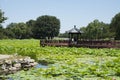 Asian China, royal garden, Old Summer Palace, Jiuqu Bridge