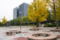 Asian Chinese, Beijing, Financial Street, garden, round stone chair, ginkgo tree