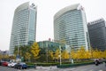 Asian Chinese, Beijing, Financial Street, modern architecture, ginkgo tree