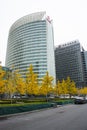 Asian Chinese, Beijing, Financial Street, modern architecture, ginkgo tree