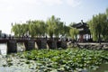 Asian Chinese, Beijing, the Summer Palace,zhi chun ting Royalty Free Stock Photo