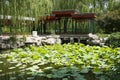 Asian Chinese, Beijing, the zoo, the ancient architecture, peony garden, corridor