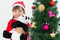 Asian Chinese little girl holding panda doll posing with Christmas Tree Royalty Free Stock Photo