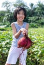 Asian Chinese Little Girl holding purple potato in organic farm Royalty Free Stock Photo