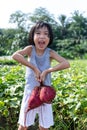 Asian Chinese Little Girl holding purple potato in organic farm Royalty Free Stock Photo