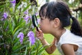 Asian Chinese little girl looking at flower through a magnifying Royalty Free Stock Photo