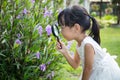 Asian Chinese little girl looking at flower through a magnifying Royalty Free Stock Photo
