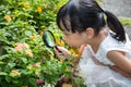 Asian Chinese little girl looking at flower through a magnifying Royalty Free Stock Photo