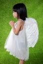 Asian Chinese little girl wearing angel wings and praying Royalty Free Stock Photo