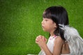 Asian Chinese little girl wearing angel wings and praying Royalty Free Stock Photo