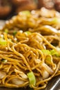 Asian Chow Mein Noodles