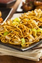 Asian Chow Mein Noodles