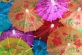 Asian Cocktail Umbrellas