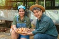 Asian couple farmer holding fresh chicken eggs into basket was sitting near hen beside chicken farm.Smiling because happy with the Royalty Free Stock Photo