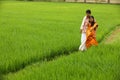 Asian couple in a paddy field Royalty Free Stock Photo