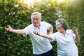 Asian Couple practicing Tai Chi in the park together Royalty Free Stock Photo