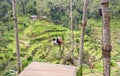 An Asian couple sitting on swing over Tegalalang Rice Terrace is one of the famous tourist objects in Bali situated in Tegalalang
