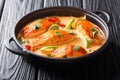 Asian cuisine. Salmon with coconut sauce, lime and herbs close-up in a pan on the table. horizontal Royalty Free Stock Photo