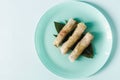 Asian cuisine spring rolls stuffed with seafood and vegetables on a light plate. Royalty Free Stock Photo