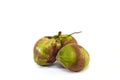 Group coconuts on white background Royalty Free Stock Photo