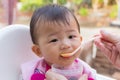 Asian cute baby eating food. Royalty Free Stock Photo