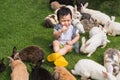 Asian cute boy sucking fingers and crying on the lawn among the surrounding rabbits Royalty Free Stock Photo