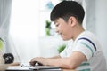 Asian cute boy using laptop computer. Royalty Free Stock Photo