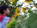 Asian cute child boy in school uniform touching and looking yellow beautiful sunflower